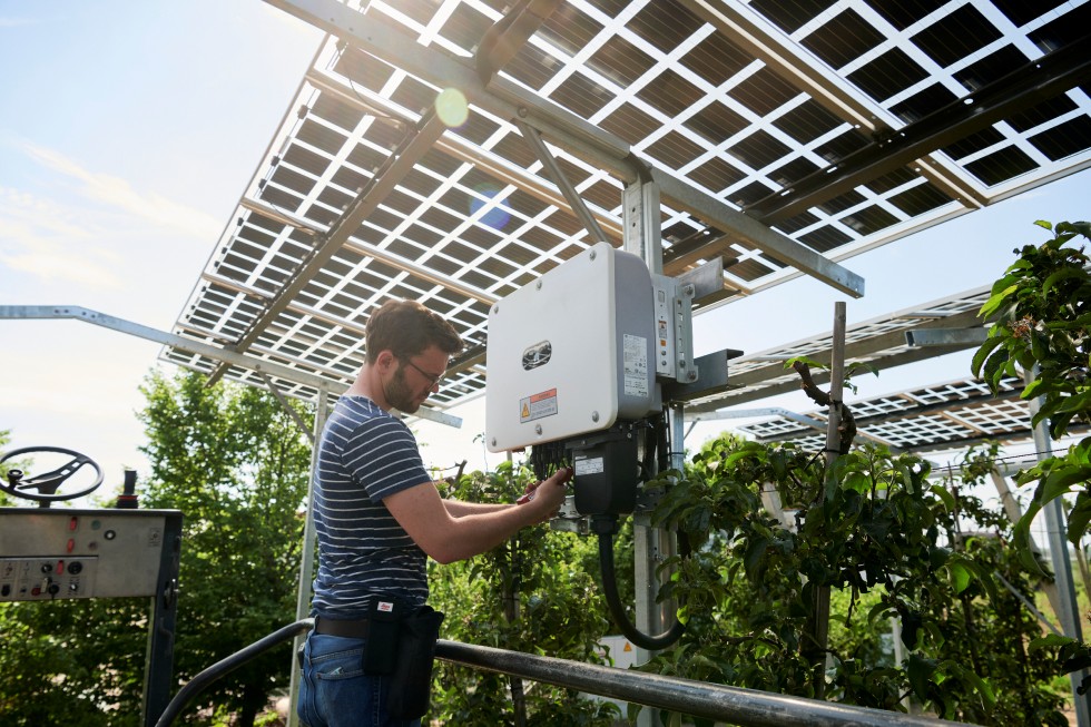 Solar: Wie sich Strom und Äpfel am besten gleichzeitig von einem Acker ernten lassen