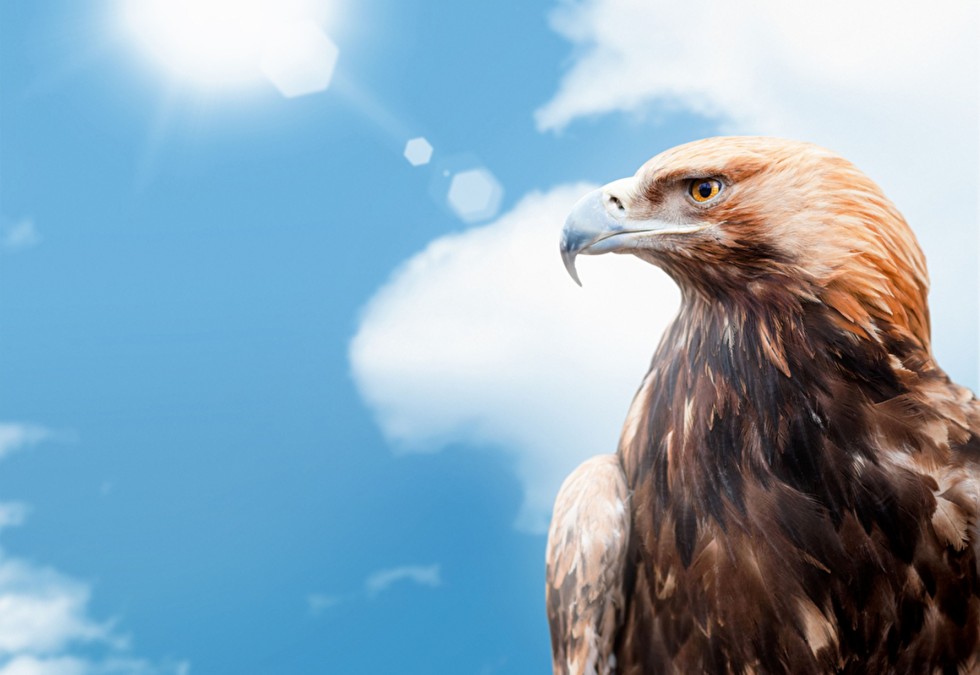 Anne M. Schüller: Die „Adlerperspektive“ hilft dem gesamten Unternehmen