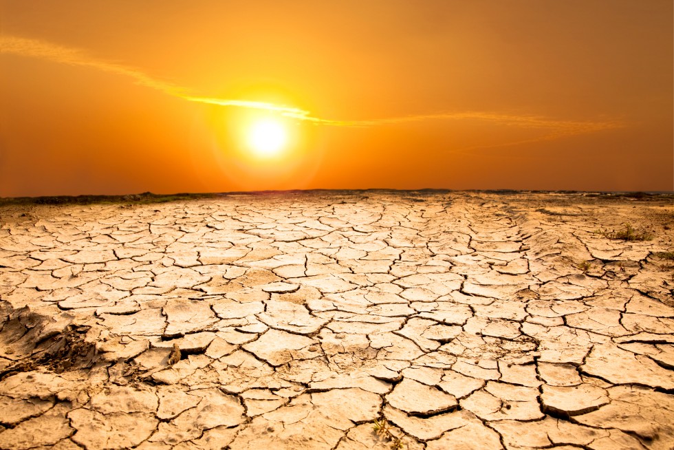 COP28: Geldsegen am ersten Konferenztag