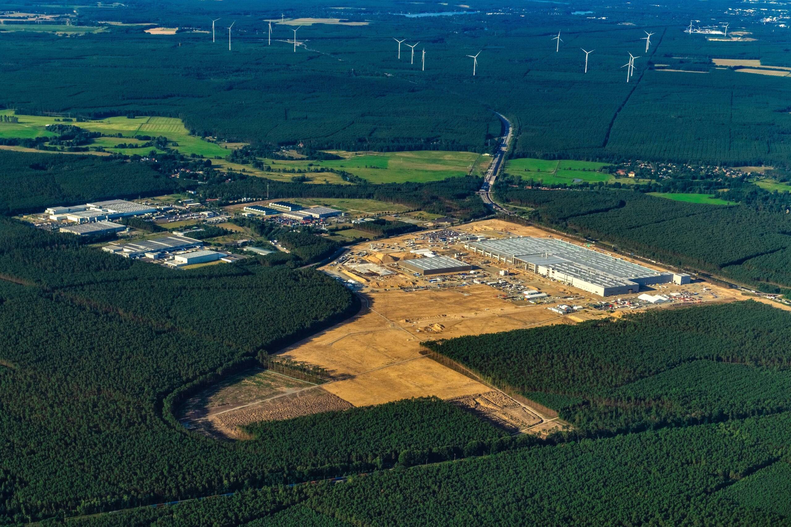 Tesla-Gigafactory: Wird Grünheide zum neuen Hambacher Forst?