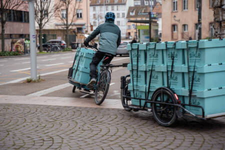 Professioneller Transport per Lastenanhänger