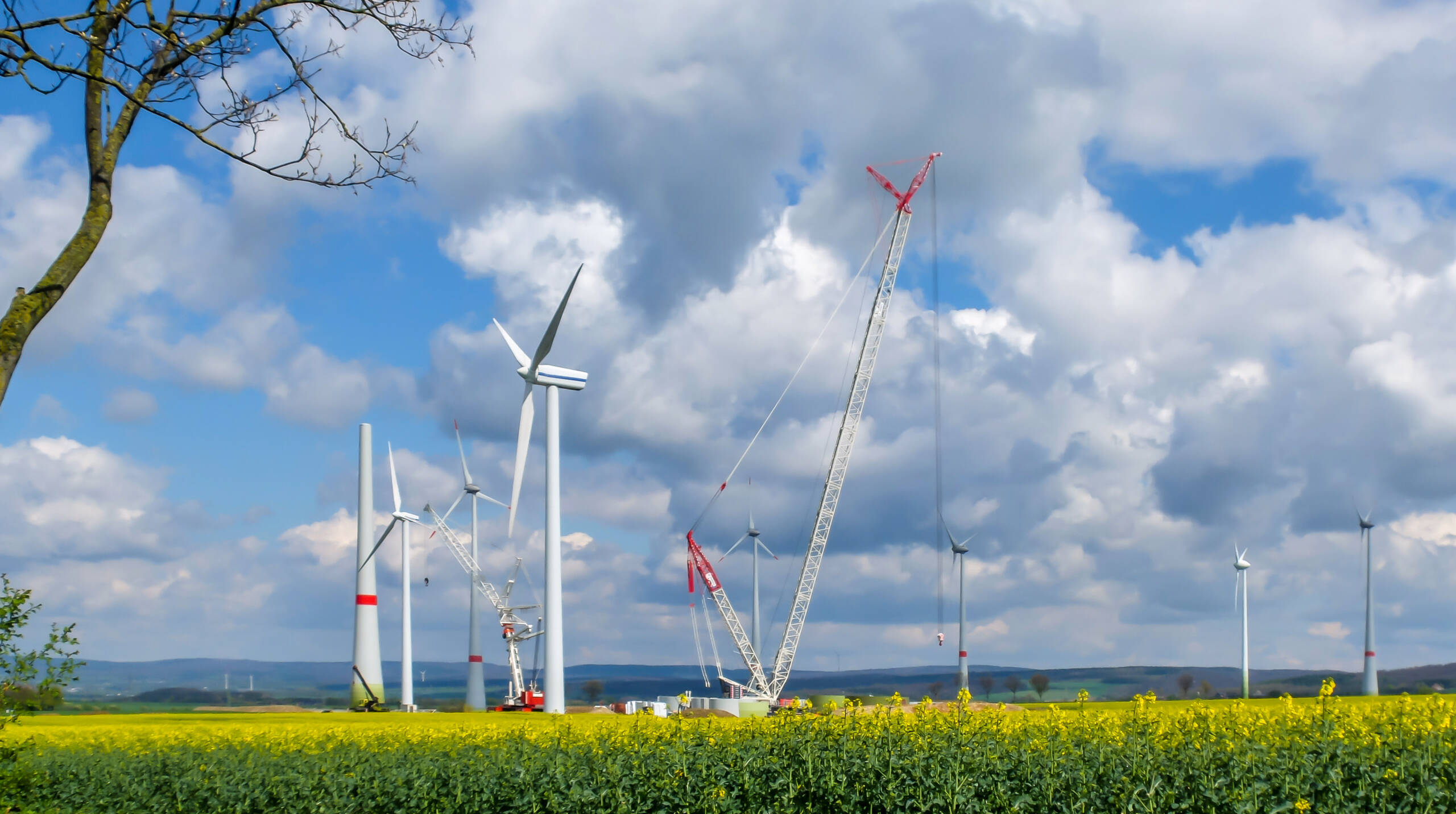 Repowering: Frischer Wind für deutsche Windparks